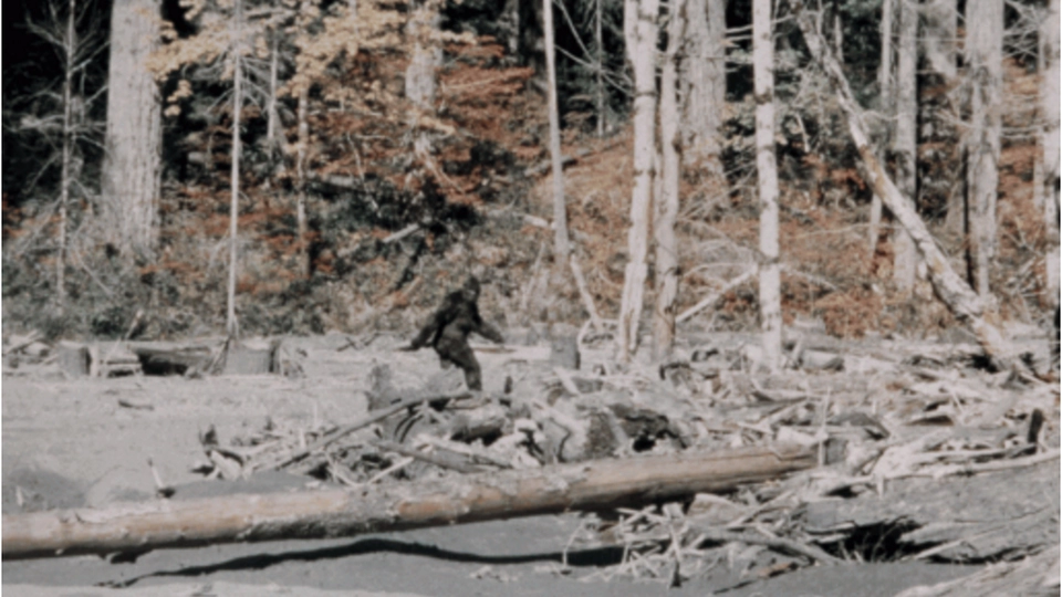 Patterson-Gimlin's phptp